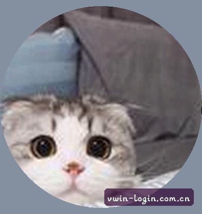赵磊